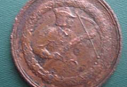 Trocha šrotu polního