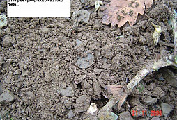 Pár drobností z pole...