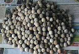 Pár nálezů z tohoto měsíce