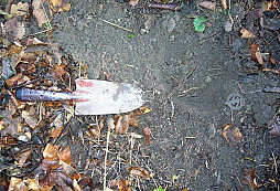 Konečně něco z WW2