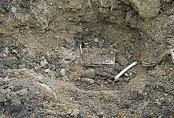 Zajímavost  nalezená specialitou typu DK - část I.