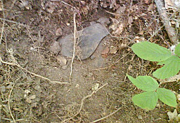 Futrál s protikusem