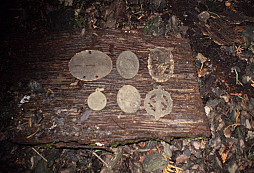 Pár nálezů z úterý