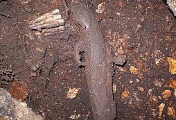 Něco málo na konec 2...?