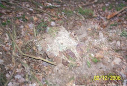 Že by trochu techniky?