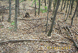 Čtyřdenní akce v terénu