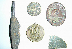 Nějaká drobotina a mufloni