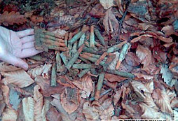 Znovu prvá svetová