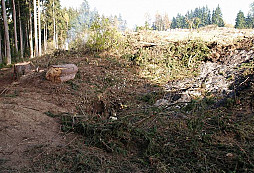 Když na mrcas, tak s bagrem!