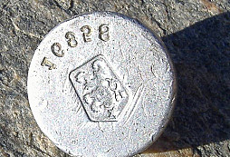 Hylzna a rozněcovač