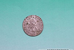 Neznámý odznak a stříbrňák lesní