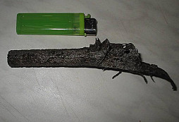 Identifikace pistole