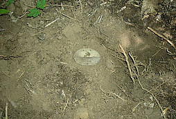 I.D. známka