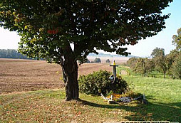 Liberator 15th USAAF - z náletů na Blechhammer a Odertal