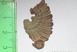 Fragment orlice