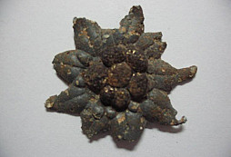 Odznáček