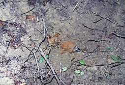 Výcvik pyrotechnikov vo vyhľadávaní munície