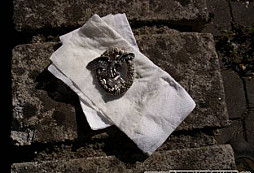 A teď zase můj - Beobachter