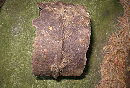 Historické dřevěné potrubí