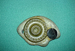 Prosím o určení nálezu