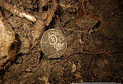 Nedělní dopoledne s Tomem