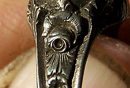 Pár drobností ze sudetských lesů