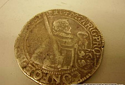 Určení stříbrňáku