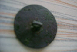 Terka polní se nám urodila