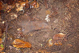 Něco velkého nakonec