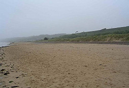 HEIN SEVERLOH – „beštia z Omahy“