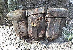 Pár nálezů při houbaření, a nebo to bylo obráceně?