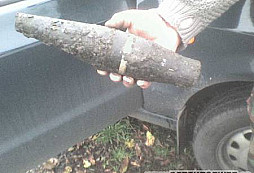 Zbraně, munice & zákon