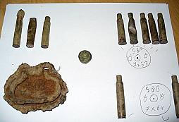 Obří pětikoruna a jeden stříbrnáček