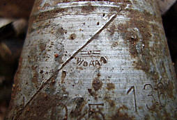 Funkční či nefunkční