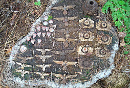 Něco málo z neděle