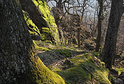 Z posledneho hladania