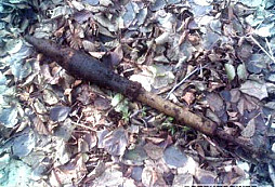 Zdánlivě nebezpečný nález