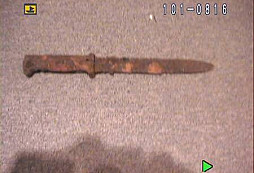 Co se urodilo v zemi