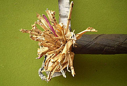 Tajemství nejvyššího vrchu Slavkovského lesa...