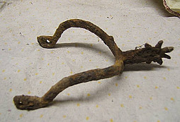 Ňáké nálezy z lesa