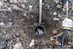 To bylo ale překvapení!