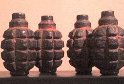 Všehochuť ze Sudet