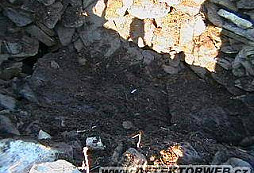 Myslivec od Grizzliho