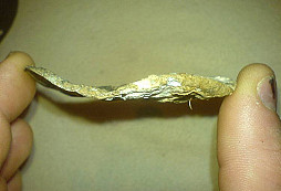 Prosba o určení a pohled do minulosti