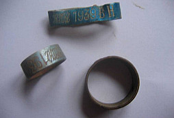 Pomůže někdo s určením těchto nálezů?