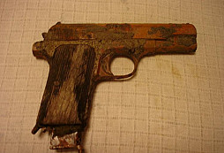 Pár věciček z rybníka