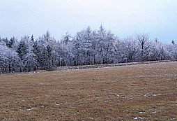 Moje první střepina ze severu