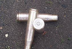 Dopolední procházka