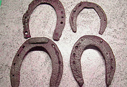 Nad stádem koní podkovy zvoní