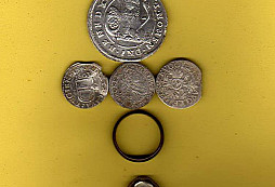 Pár drobností z našeho lesíka